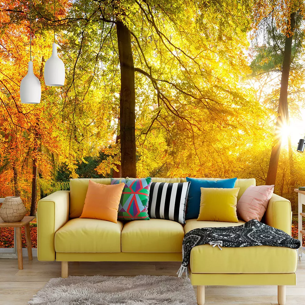 GORGEOUS FOREST IN AUTUMN
