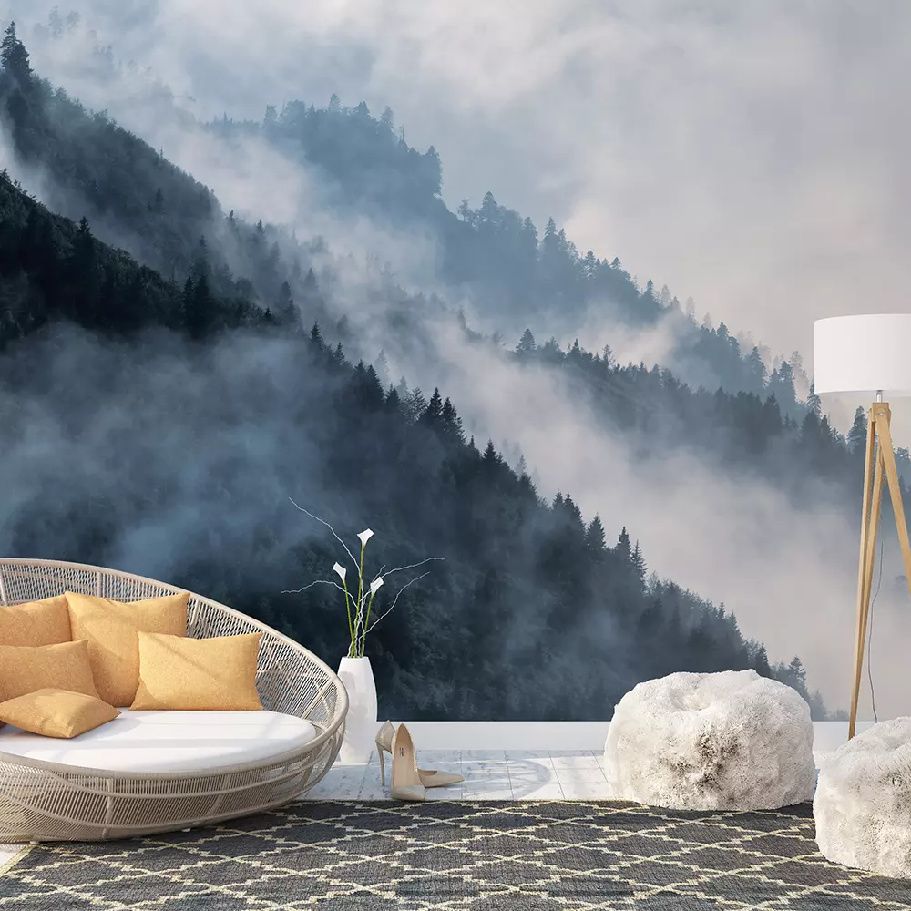 FOREST VALLEY IN FOG