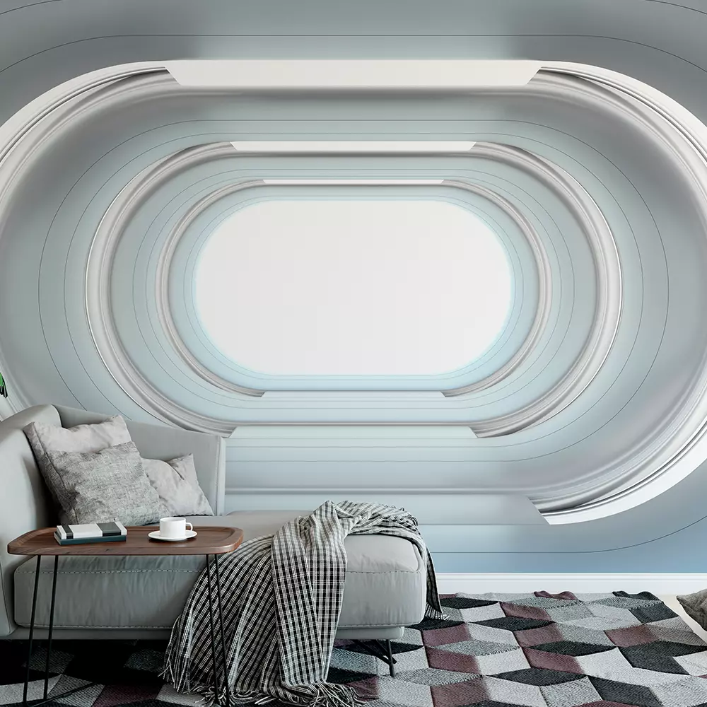 THE SPACESHIP