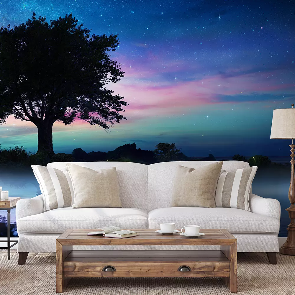 STARRY NIGHT