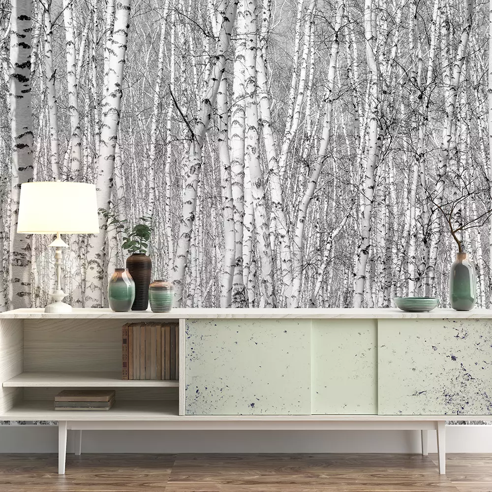 BIRCH FOREST – Merawalaprint - Black & White Wallpaper