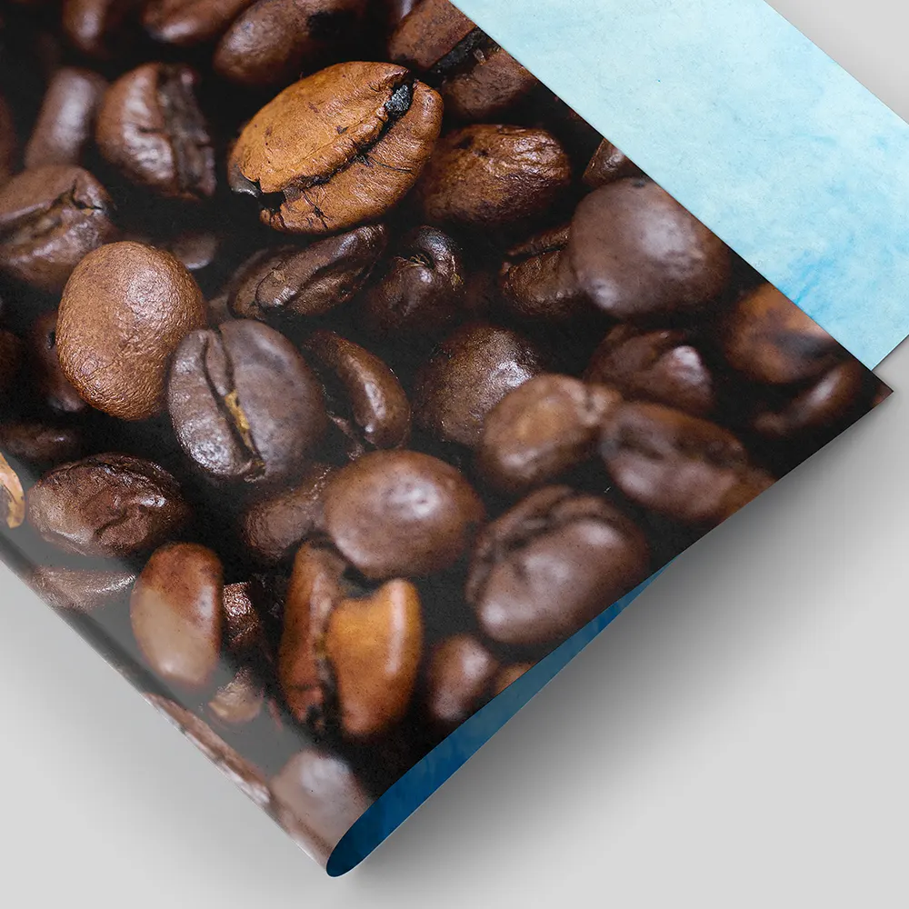 Coffee Bean Texture