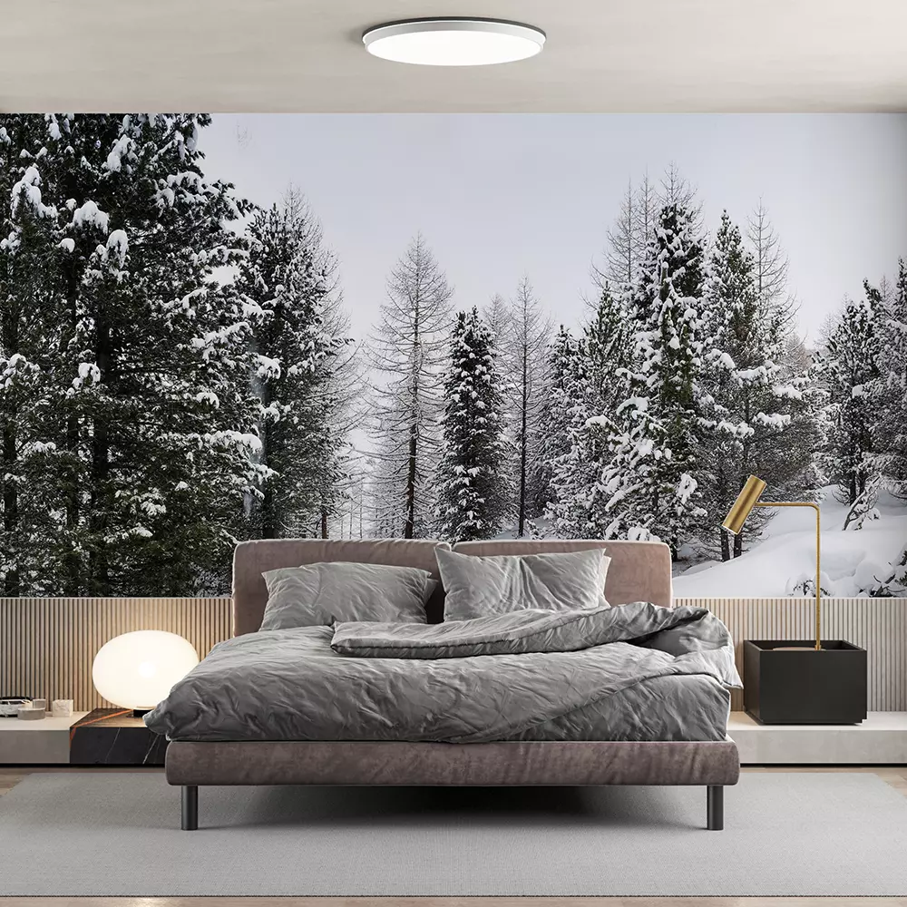 Panoramic view of a snowy landscape