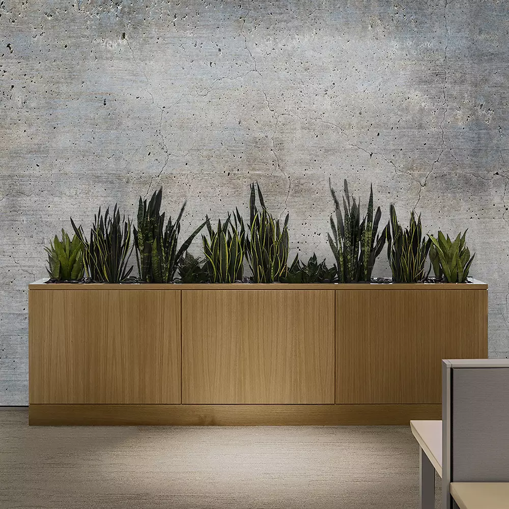 Texture of old gray concrete wall for background
