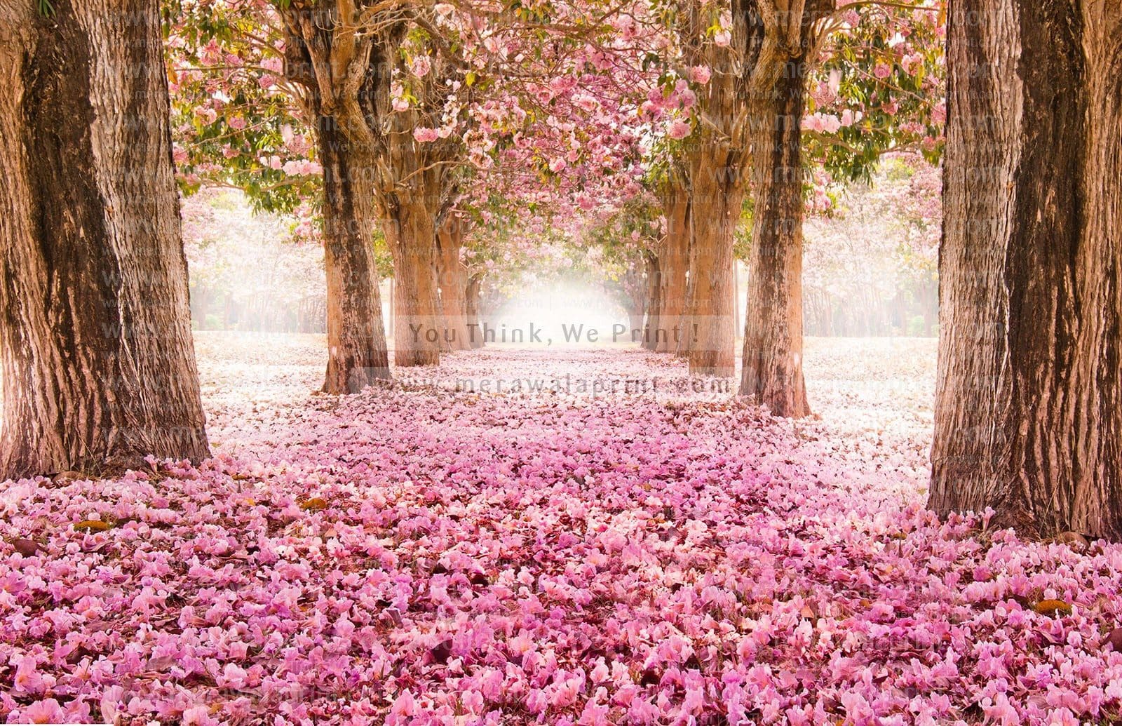 The romantic tunnel of pink flower trees – Merawalaprint - Landscape ...