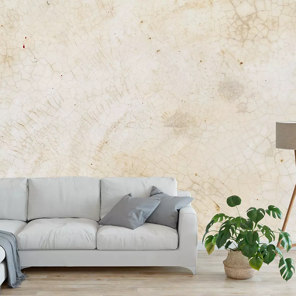 background textured surface cement on the walls