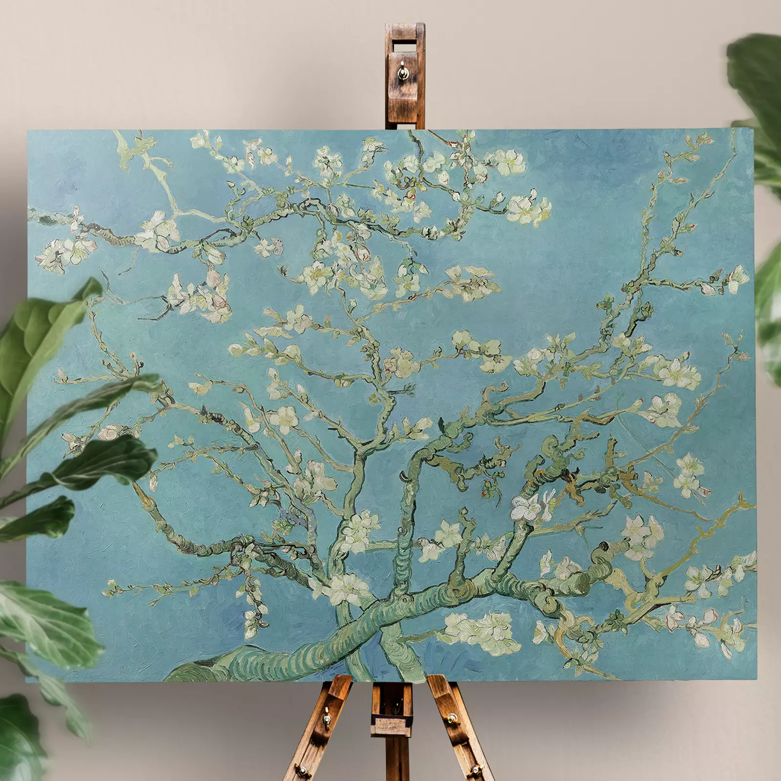 Almond Blossom