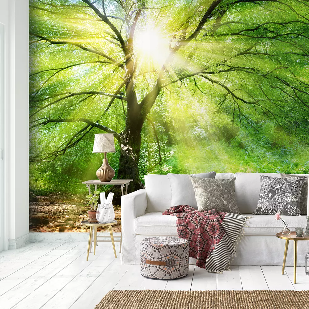Tree With Sunshine