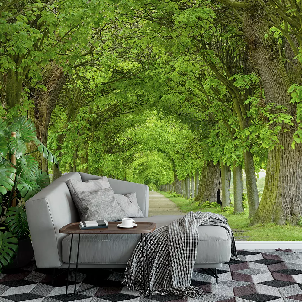 Tunnel-like Avenue of Linden