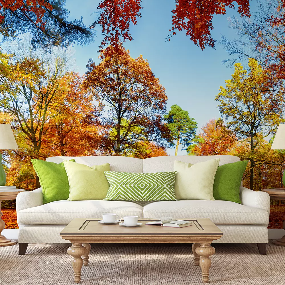 Panorama of colorful trees